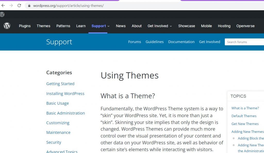 WordPress theme user guide image