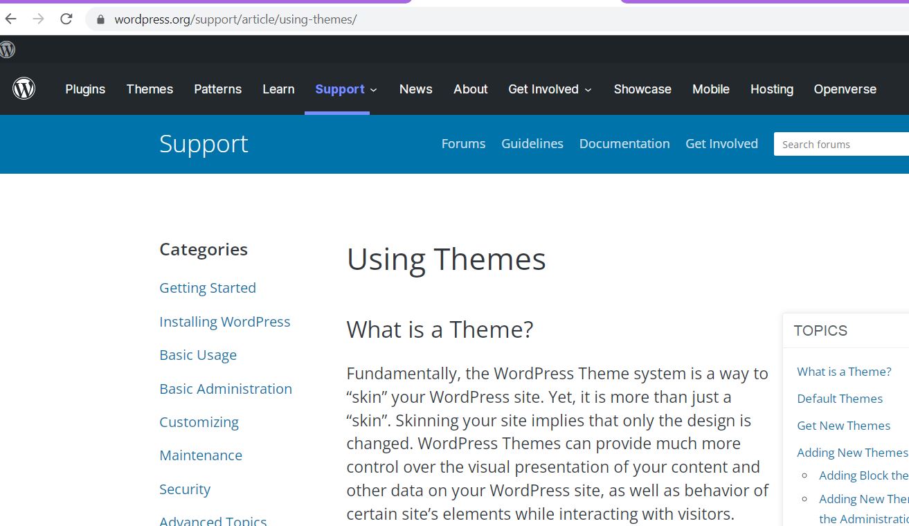 WordPress theme user guide image