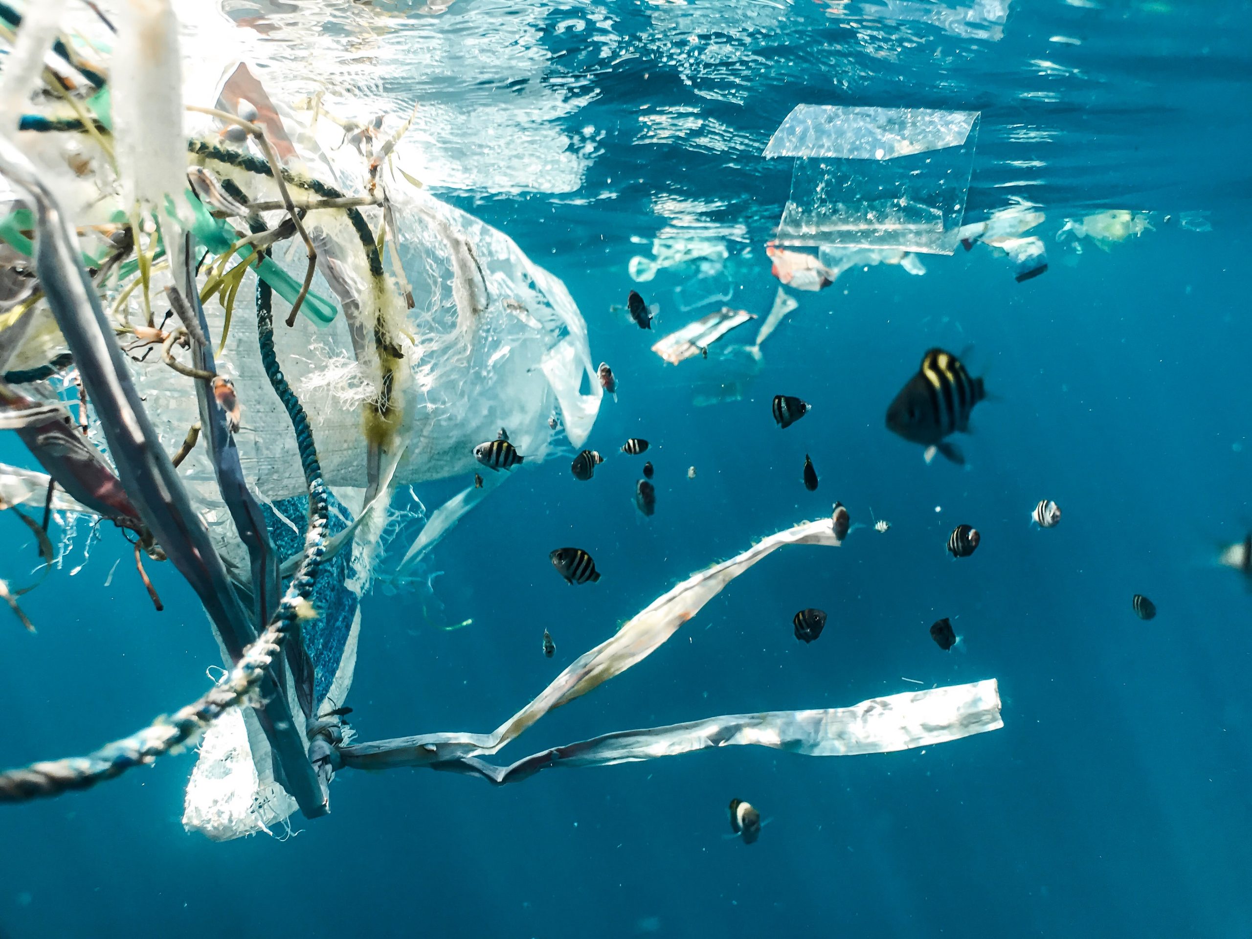 large amount of plastic waste in the ocean - image