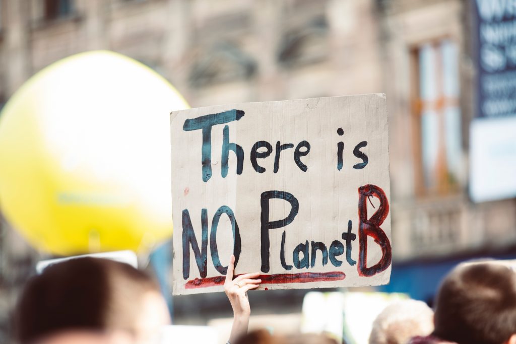 There is no Planet B - sign
