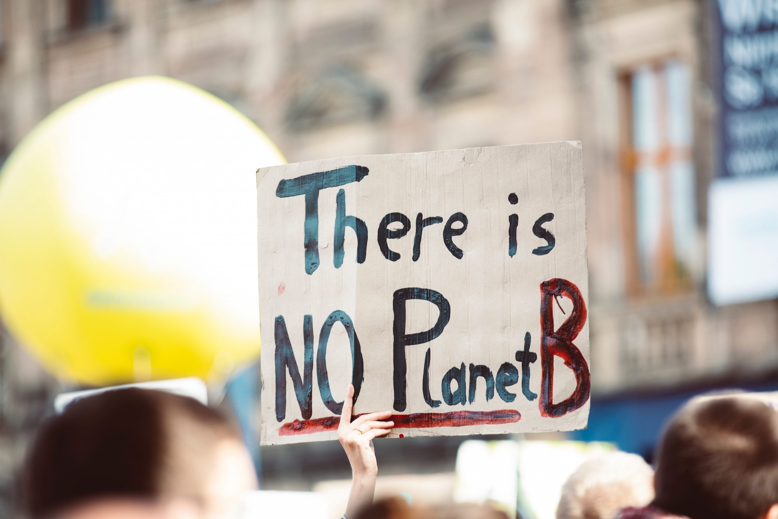 There is no Planet B - sign