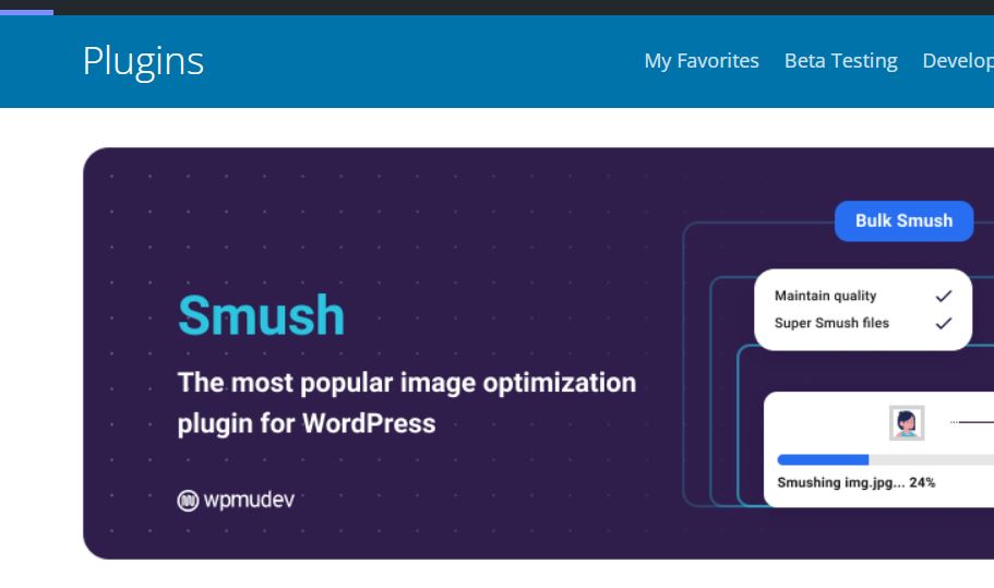 Smush image plugin